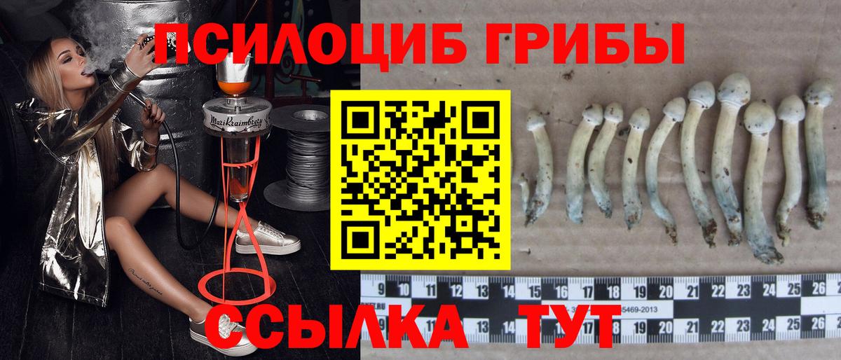 Галлюциногенные грибы мицелий  Вход с VPN  Шарыпово 